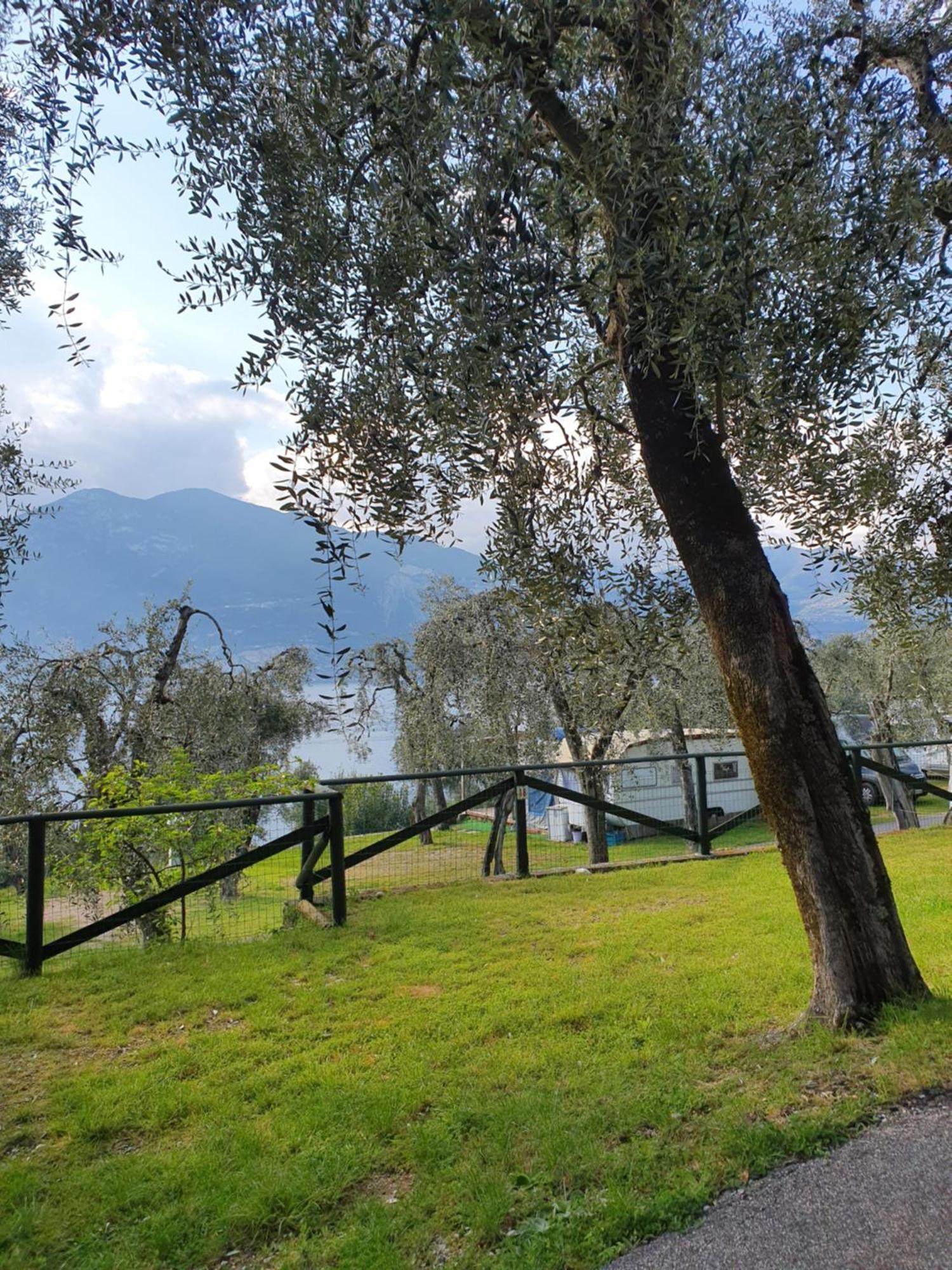 Camping Le Maior Otel Brenzone sul Garda Dış mekan fotoğraf